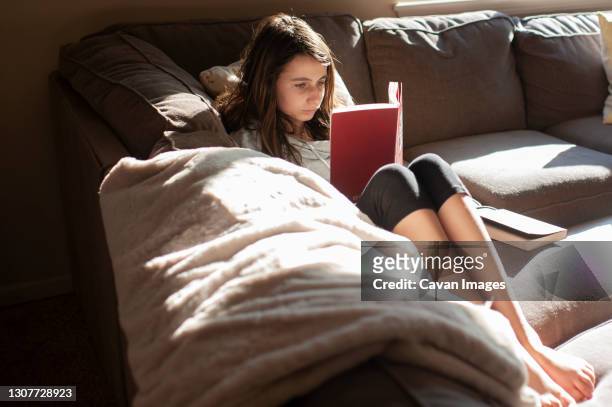 teen girl 12-13 years old sits on couch and reads a book in the sun - 10 to 13 years stock pictures, royalty-free photos & images