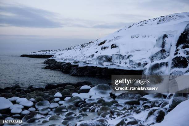 frozen rocky coastline in winter, murmansk, russia - murmansk stockfoto's en -beelden