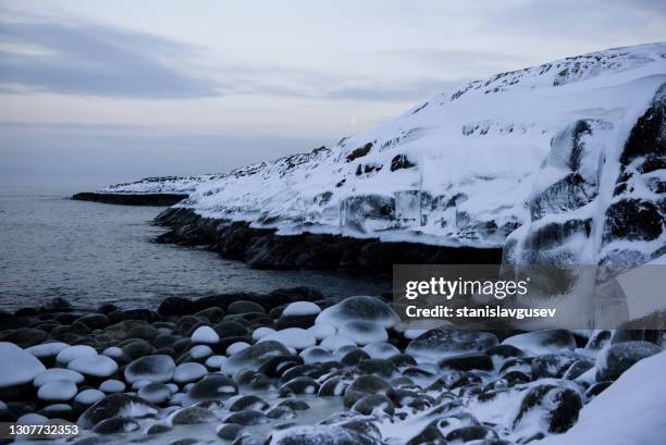 frozen rocky coastline in winter, murmansk, russia - murmansk stock pictures, royalty-free photos & images