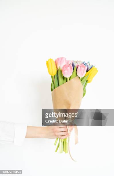woman's hand holding a bunch of multi coloured tulips - white flower paper stock-fotos und bilder