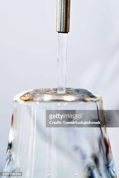drinking water - membrane fotografías e imágenes de stock