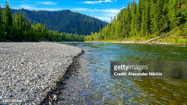 abakan river in western sayan mountains - riverbank stock pictures, royalty-free photos & images