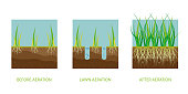 Lawn aeration. Process of aeration before and after, lawn grass care service, gardening and landscape design.