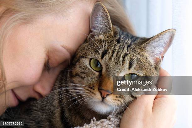a woman or girl holds a cat in her arms and hugs it. the concept of loving and caring for pets, adopting them. - cat cuddle stockfoto's en -beelden
