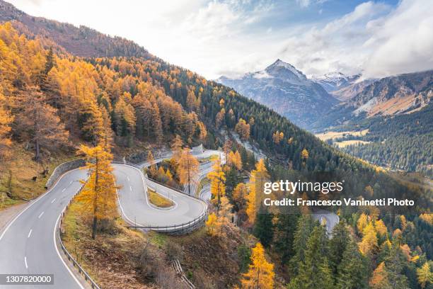 winding road in autumn, maloja pass, switzerland. - região de maloja - fotografias e filmes do acervo