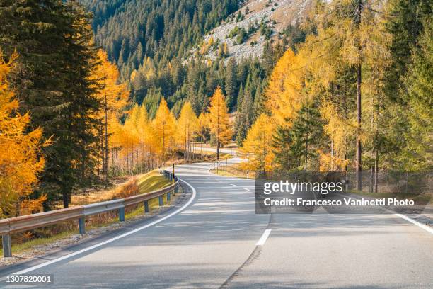 winding road in autumn, maloja pass, switzerland. - changing colour stock pictures, royalty-free photos & images