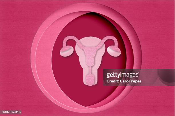 uterus un paper work.pink background - cervix stock-fotos und bilder