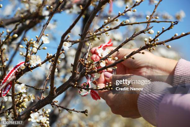 first day of spring 2021 - first day of spring stock-fotos und bilder