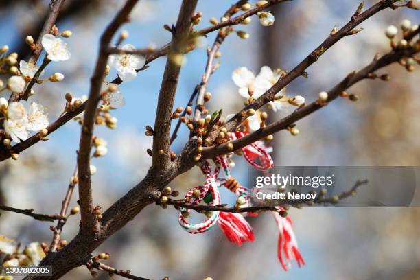 martenitsa and first day of spring - bulgarians stock pictures, royalty-free photos & images
