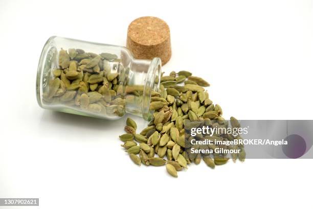 Cardamon Spilling 59 Cardamom Botanical Stock Photos, High-Res Pictures, and Images ...
