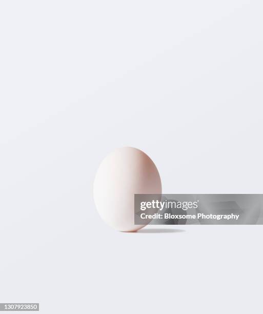 egg - ägg bildbanksfoton och bilder