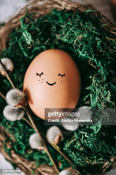 354 Bird Nest Cartoon Photos and Premium High Res Pictures - Getty Images 354 Bird Nest Cartoon Photos and Premium High Res Pictures - Getty Images