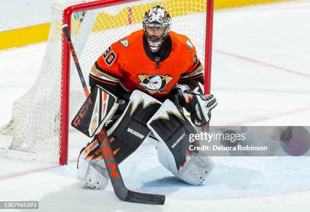 Goaltender Ryan Miller of the Anaheim Ducks tends net during the third period of the game against the Arizona Coyotes at Honda Center on March 18,...