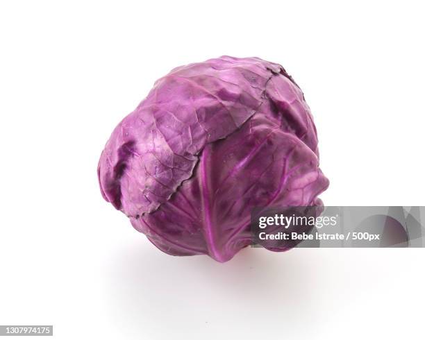 close-up of purple cabbage against white background - cabbage family fotografías e imágenes de stock