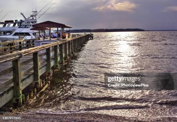 bronze light - hilton head stock pictures, royalty-free photos & images