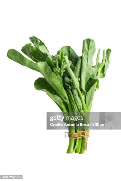 close-up of vegetables against white background - leaf vegetable 個照片及圖片檔