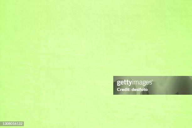 a horizontal empty bright radiant fluorescent neon green coloured backgrounds - parakeet stock illustrations
