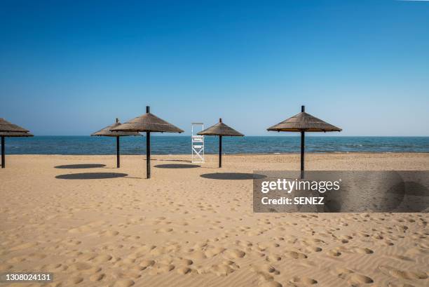 sunshades at beach against clear sky - beach umbrella isolated stock-fotos und bilder