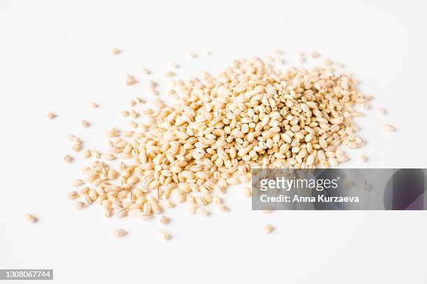 barley isolated on white background - barley bildbanksfoton och bilder