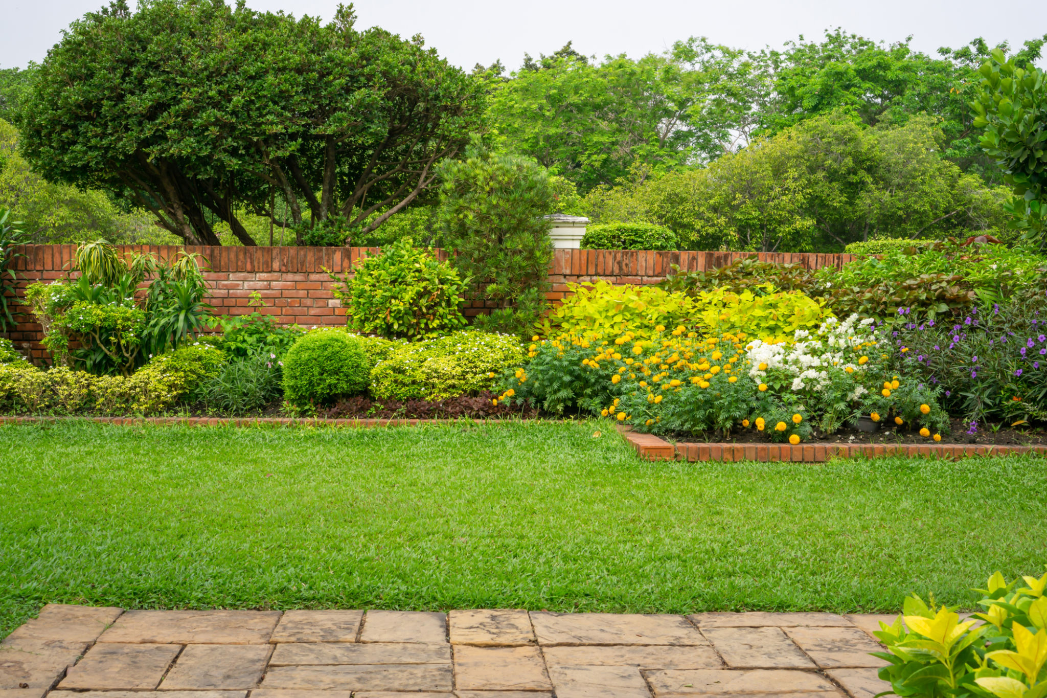 garden pathway
