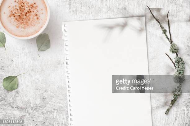 paper blank, eucalyptus branches coffee cup in white rustic surface - counter surface level stock pictures, royalty-free photos & images