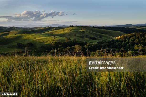 typical rural landscape of southeastern brazil - savannah stock pictures, royalty-free photos & images
