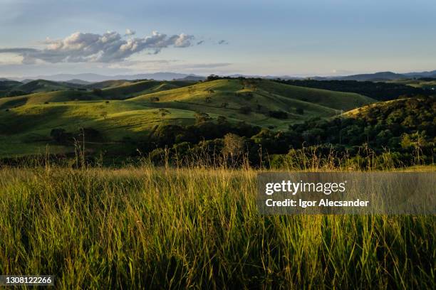 paisagem rural típica do sudeste do brasil - planície - fotografias e filmes do acervo