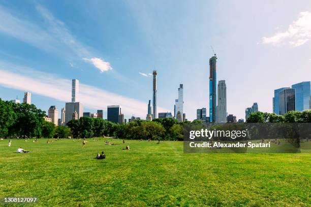 green lawn at central park and manhattan skyline, new york city, usa - central park stock-fotos und bilder