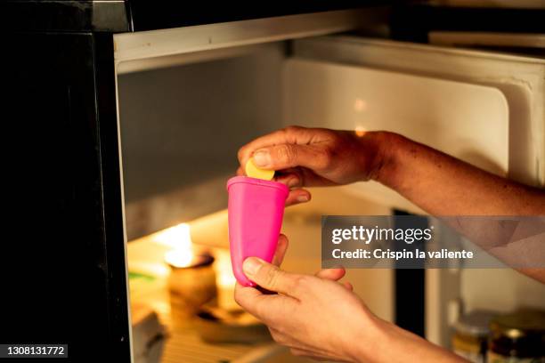 woman taking an homemade ice cream from the freezer - frys bildbanksfoton och bilder