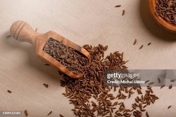 detail on aromatic roman cumin (carum carvi) in a small olive dish on the table. - cumin stock pictures, royalty-free photos & images