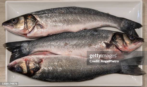 three seabass in a tray - bandeja stock pictures, royalty-free photos & images