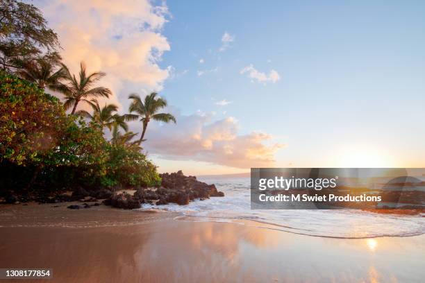 sunset hawaii beach - strand stock-fotos und bilder