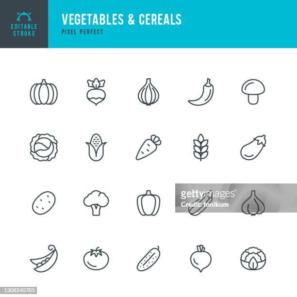 stockillustraties, clipart, cartoons en iconen met groenten &amp; granen - dunne lijn vector pictogram set. bewerkbare lijn. pixel perfect. de set bevat iconen: broccoli, bloemkool, wortel, kool, groene erwt, maïs, tomaat, aardappel, pompoen, peper, ui. - vegetables