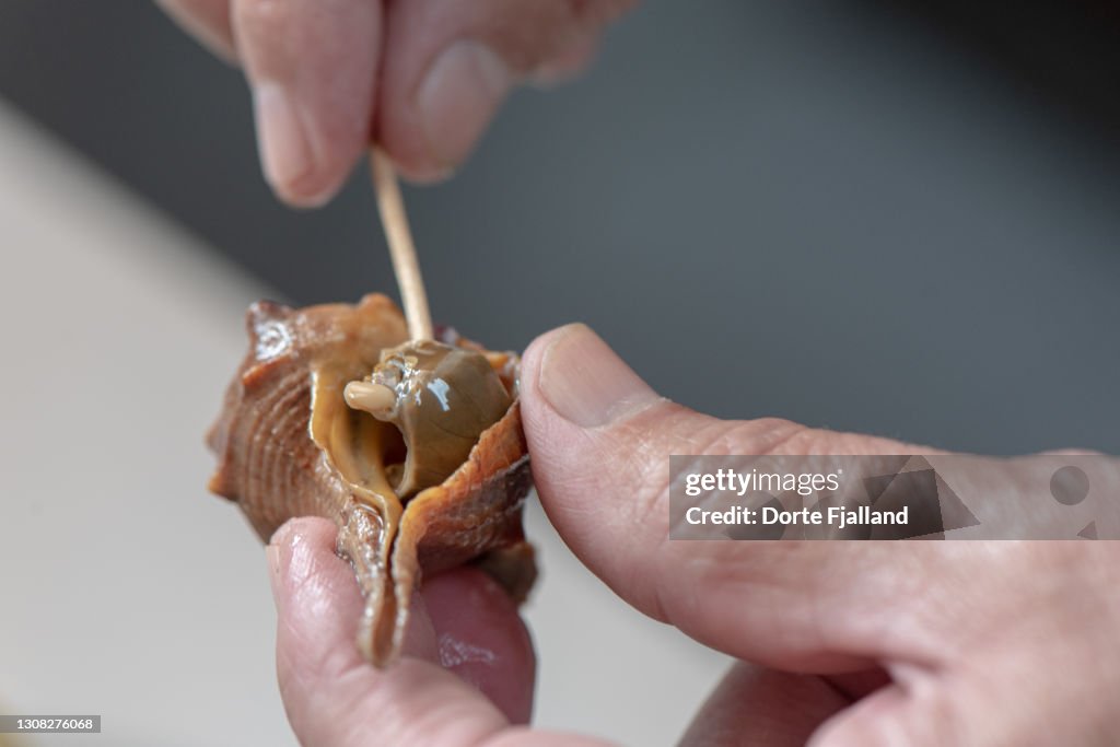 A sea snail to be eaten with a toothpick