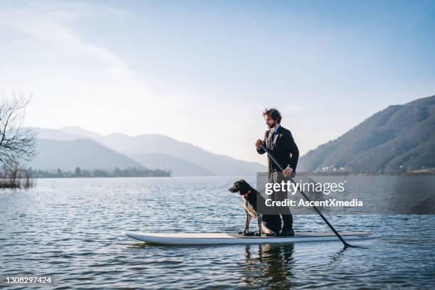 business man paddle boards with his dog in the morning - well dressed dog stock pictures, royalty-free photos & images