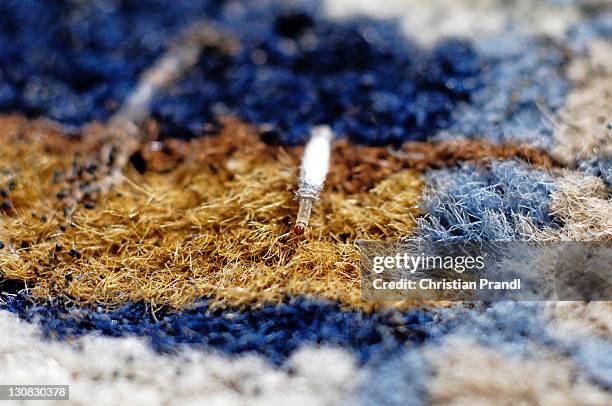 the larva of a clothes moth (tineola bisselliella) is hatching in a carpet - tineola bisselliella stock pictures, royalty-free photos & images