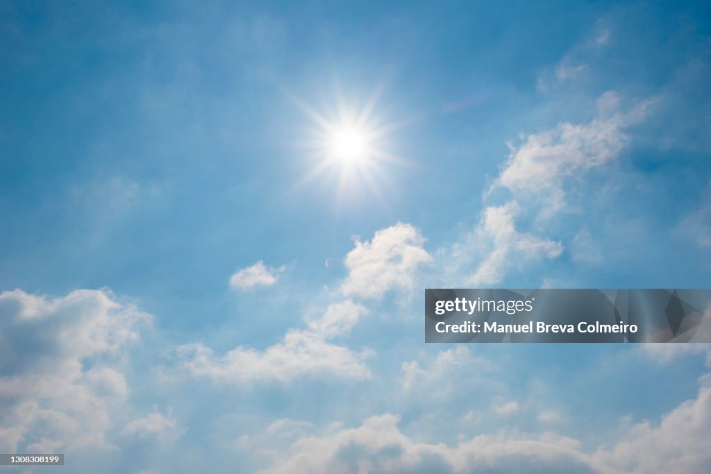 Sunny day