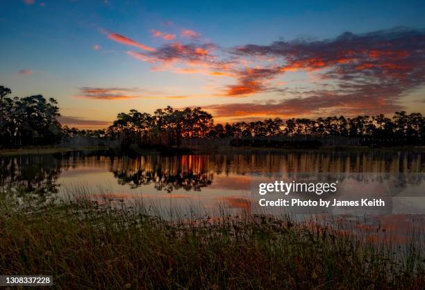 sunrise at long pine key lake - 日出市 羅德岱堡 個照片及圖片檔