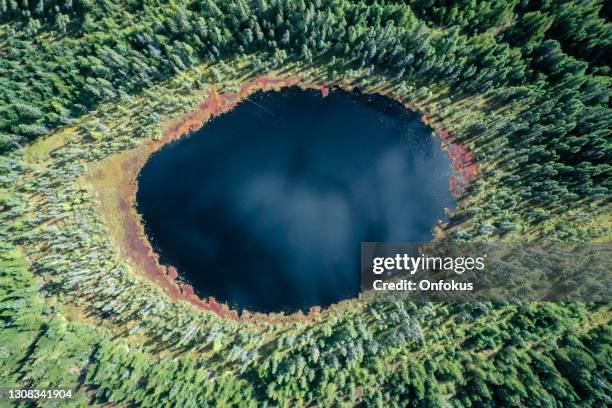 aerial view of boreal nature forest and lake in summer - quebec aerial stock pictures, royalty-free photos & images