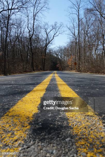low angle view of the center of a rural paved road - linea gialla foto e immagini stock
