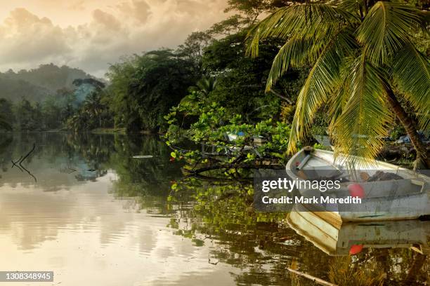 grande riviere, trinidad - trinité et tobago photos et images de collection