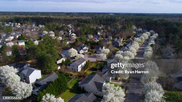 bradford pears line neighborhood streets in the spring - charlotte north carolina stock pictures, royalty-free photos & images