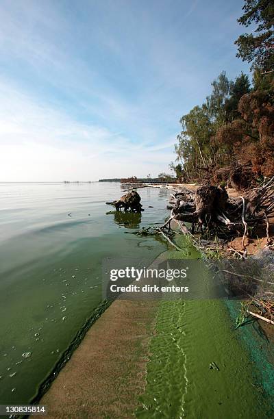 Sceronian Rocks Curonian Lagoon Photos and Premium High Res Pictures - Getty Images
