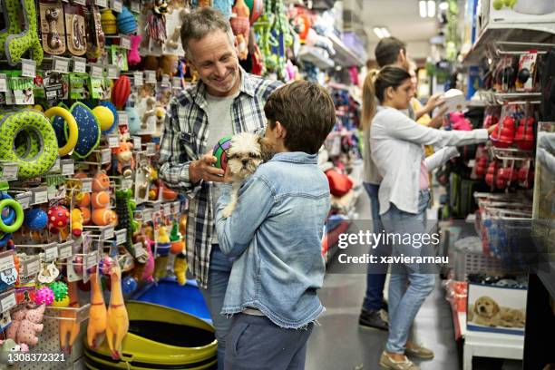 padre e giovane figlio in negozio di animali con cucciolo di shih tzu - gioco per animali domestici foto e immagini stock