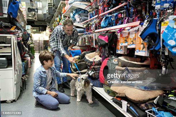 far och ung son shoppar i djuraffär med schnauzer - djuraffär bildbanksfoton och bilder