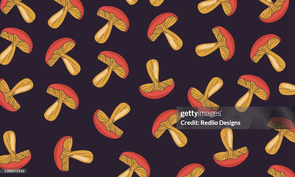Cute Seamless Mushroom Pattern. Bay bolete imleria badia and golden chanterelle cantharellus cibarius. Perfect for your wallpaper, fabric, website.