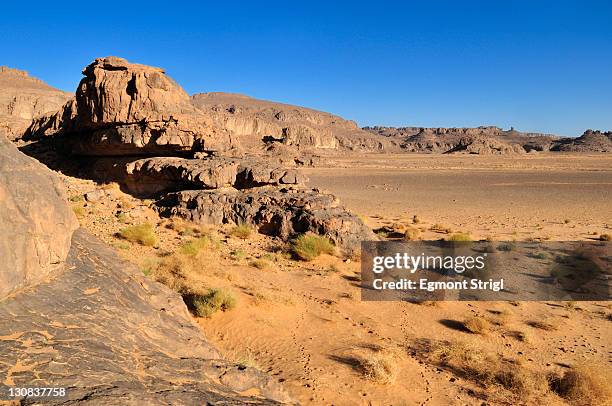 sandstone rock formation and oeud, wadi on tasset plateau, tassili n'ajjer national park, unesco world heritage site, wilaya illizi, algeria, sahara, north africa - north africa fotografías e imágenes de stock