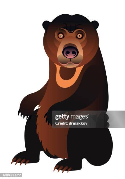 sun bear (helarctos malayanus) - bear roaring stock illustrations
