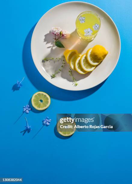 lemon slices in a dish top view - colorful vegetables summer stock-fotos und bilder