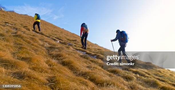 登山道を歩く友人 - 登山用ストック ストックフォトと画像